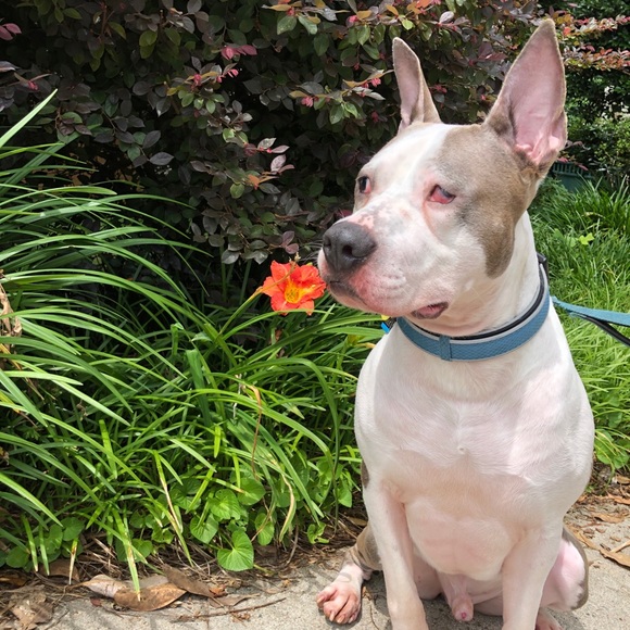 Meet your Posher, Erika - Picture 8 of 8